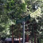 Where the Pirates Live, Presumably